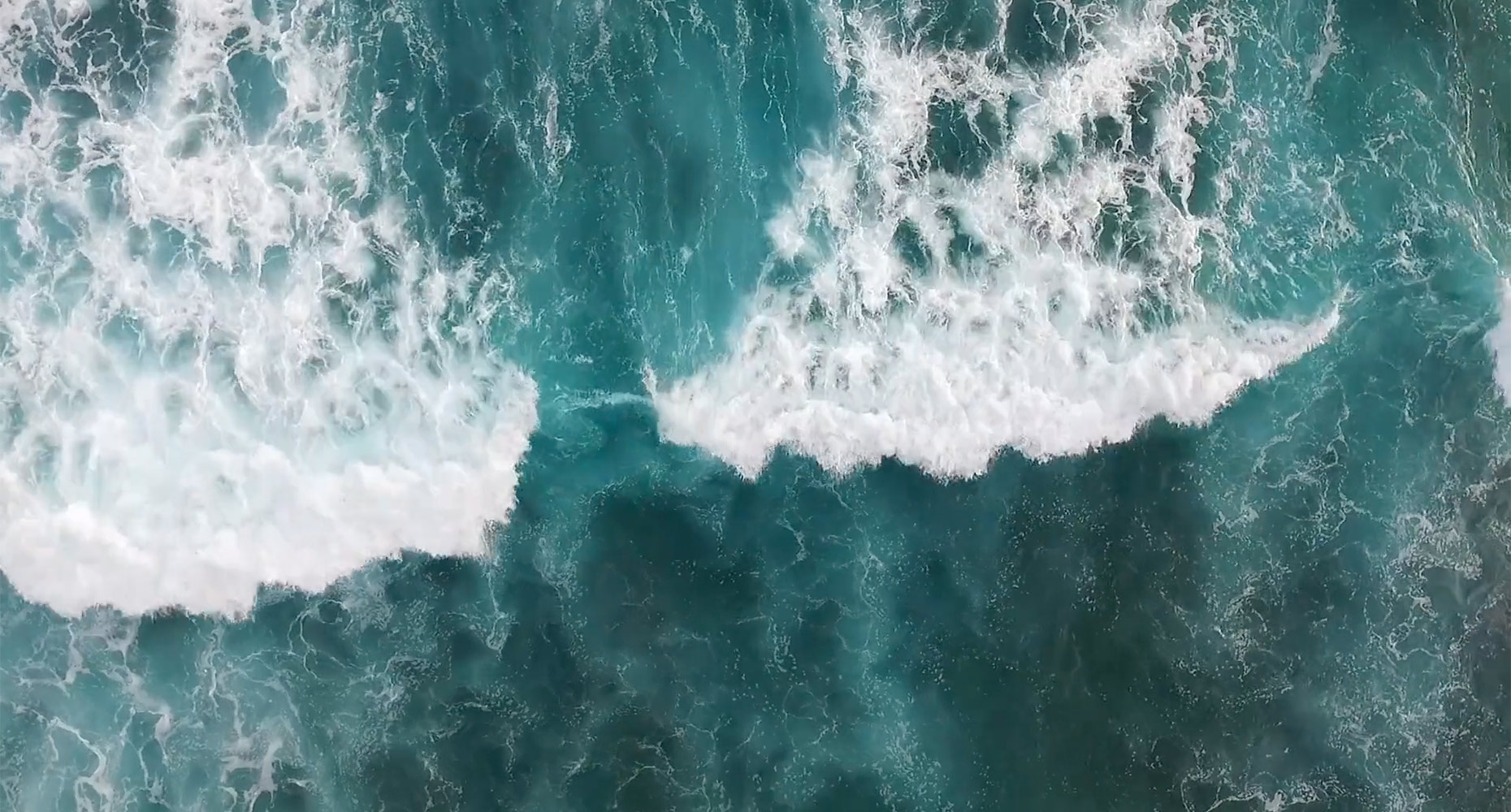 WSP x Holdens | Web Design & Build | Video| Content Marketing