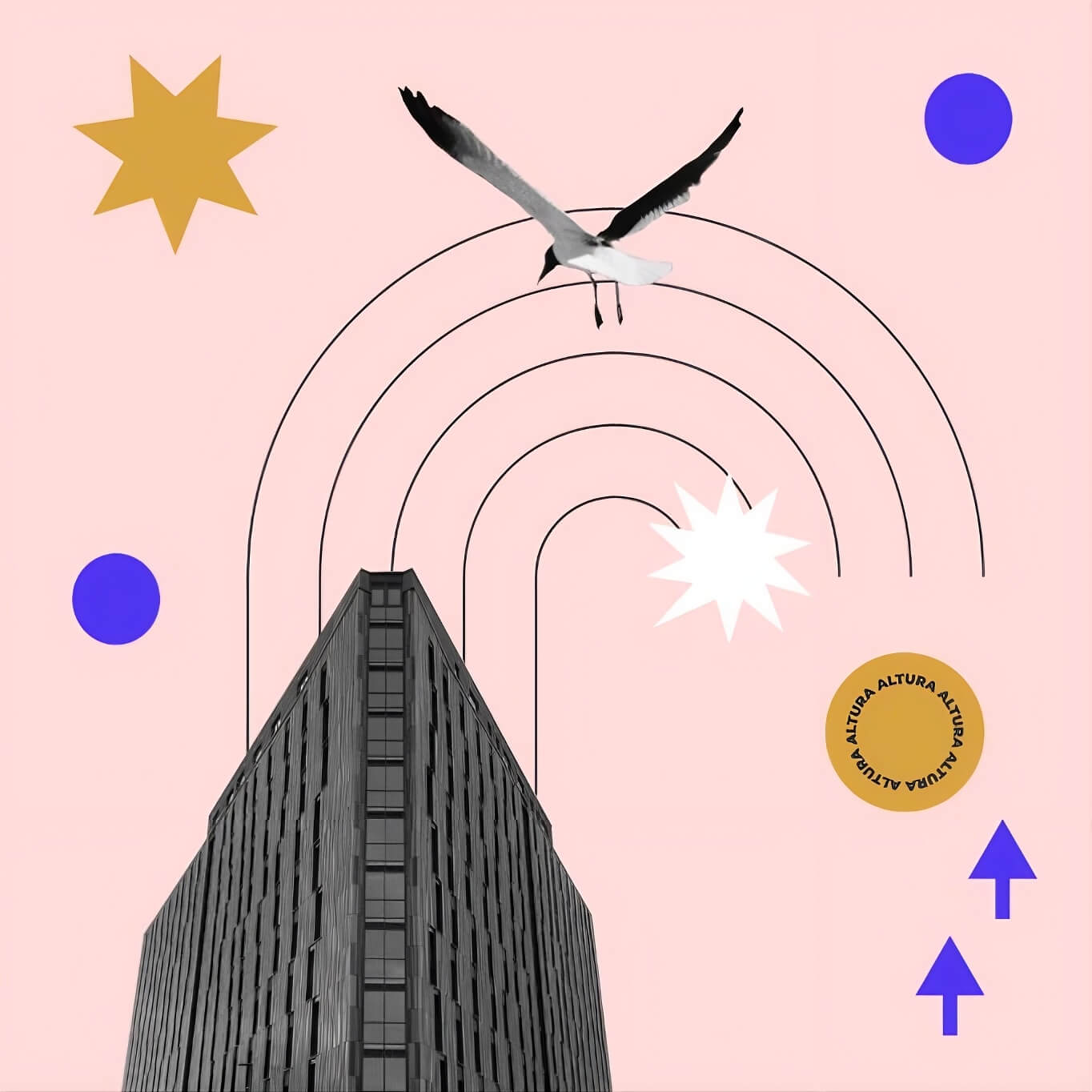 Altura