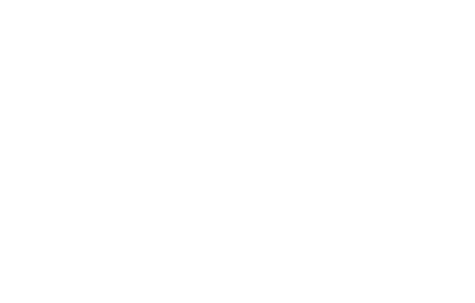 The Big Fang Collective